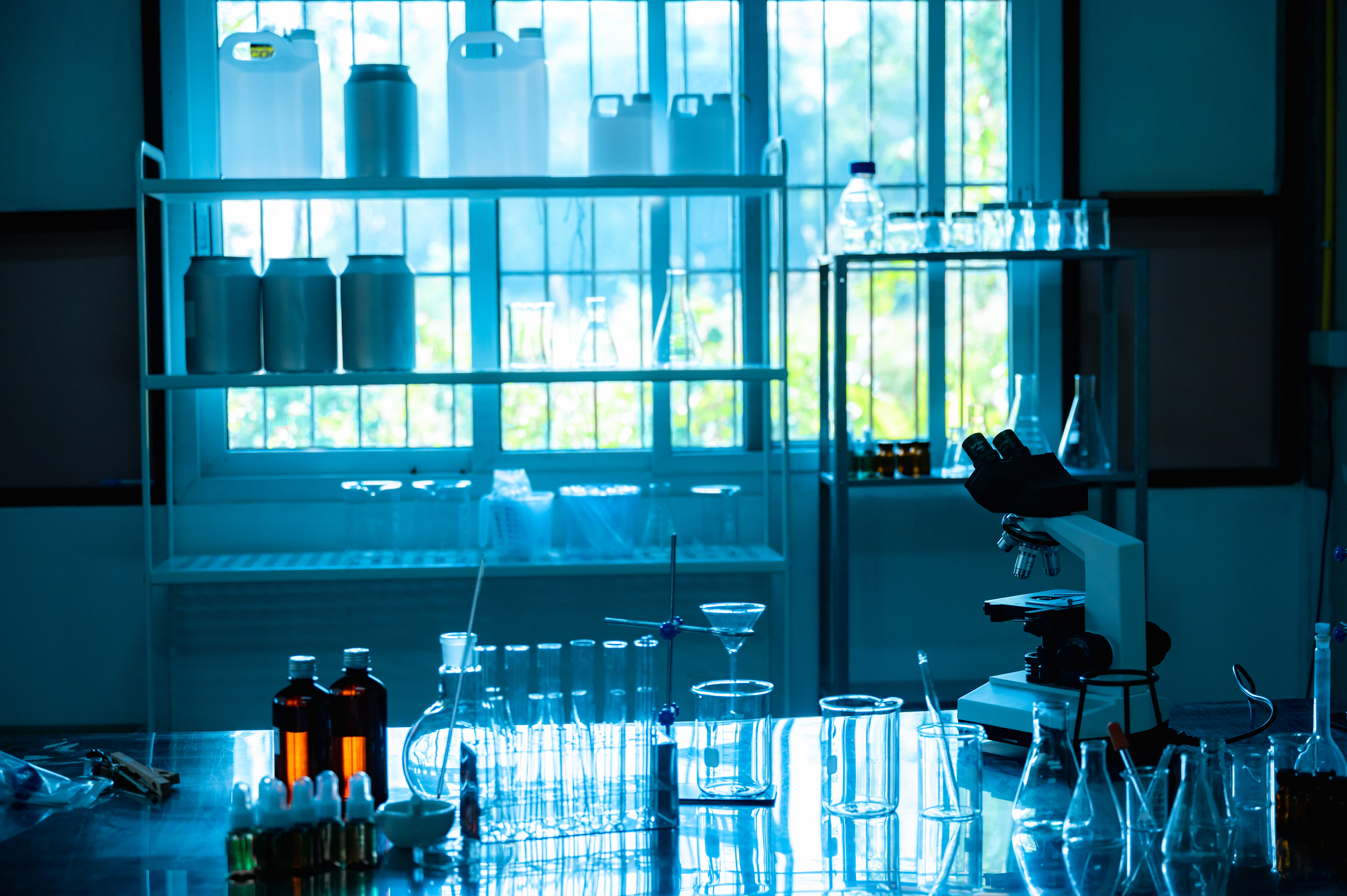 Manufacturing Services